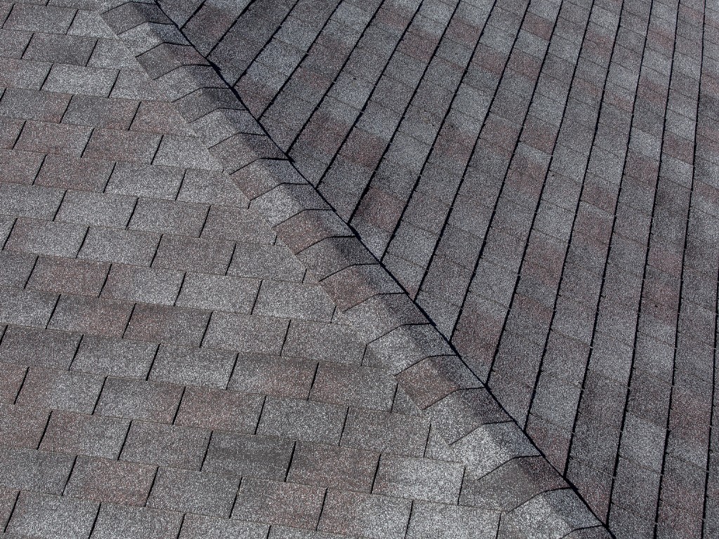 shingle roof replacement Aurora